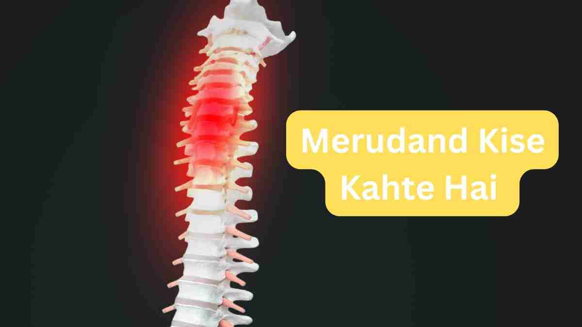 Merudand Kise Kahte Hai