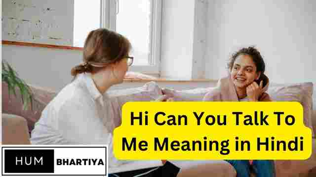 Hi Can You Talk To Me Meaning In Hindi 